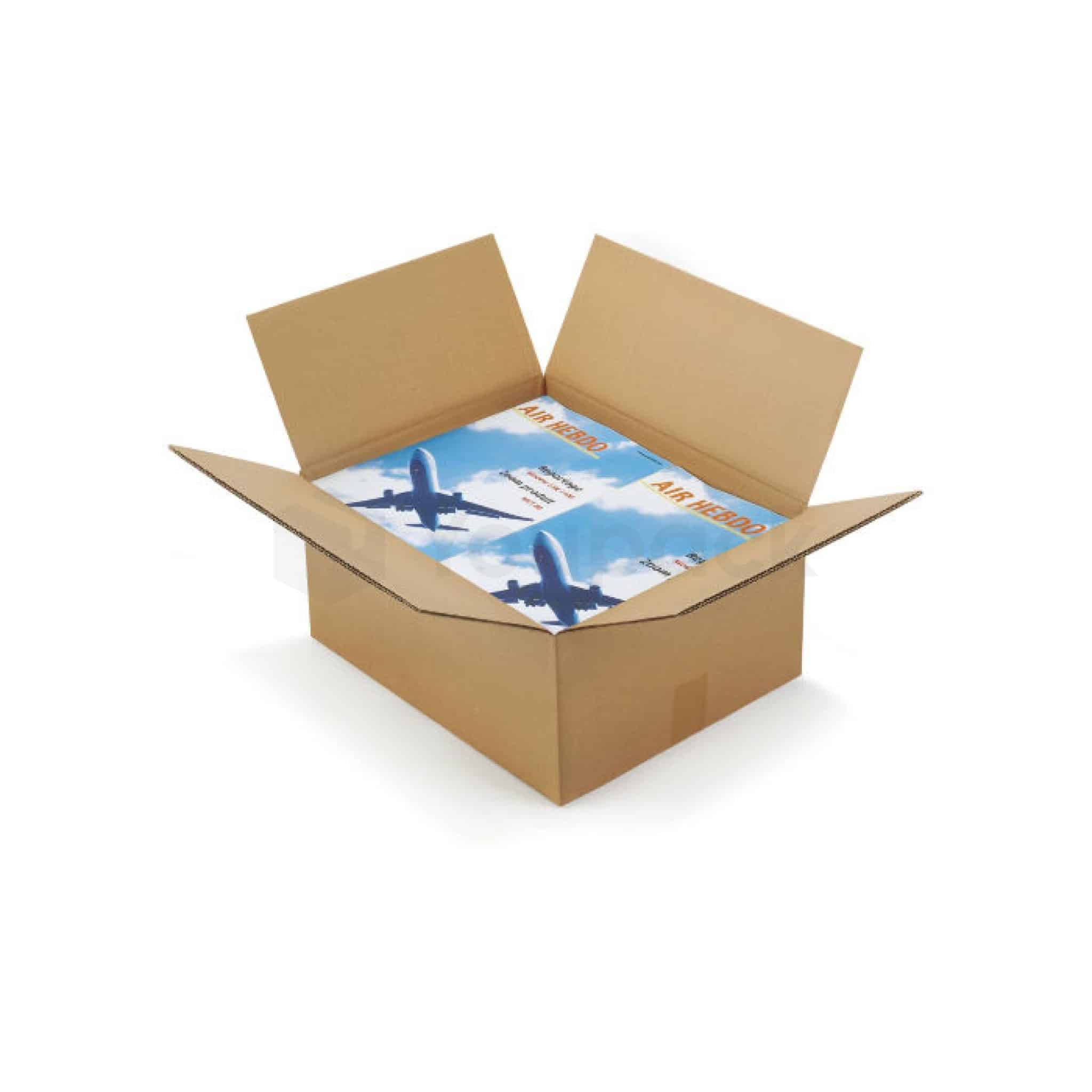 Caisse Carton Grand Format 1000x700x500 Mm - Double Résistance - Lot De 10 - Neuf